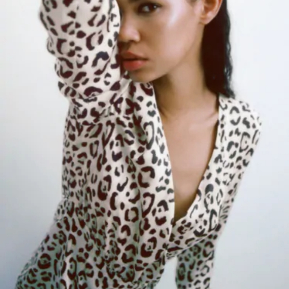 Zara Leopard Print Dress